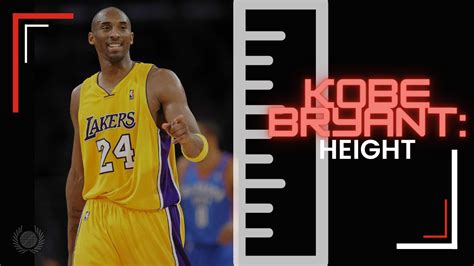 Kobe Bryant Stats, Height, Weight, Position, Draft Status and more.